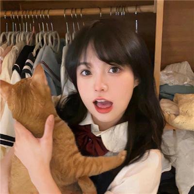 狐狸之声国语